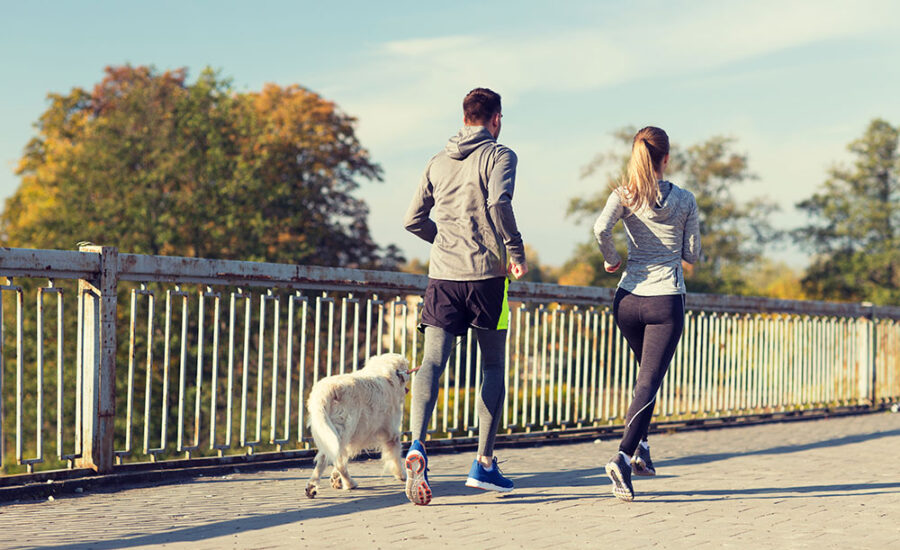 Homem e mulher correndo com cachorro